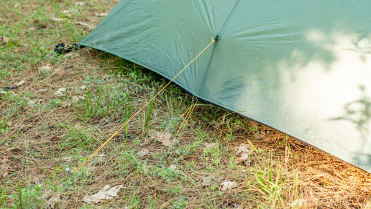TarpTent Rainbow (2026)