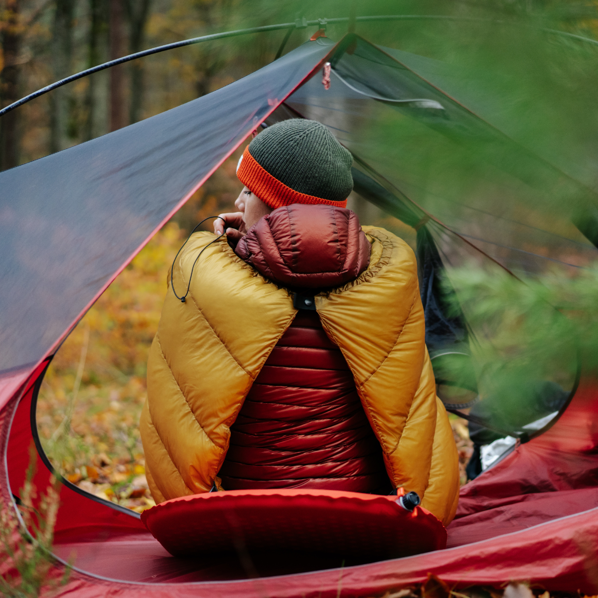 Cumulus THE Quilt 300