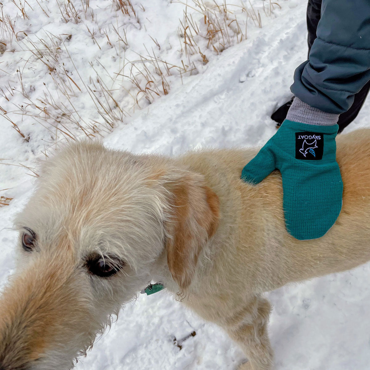 SkyGOAT CAMP Mittens