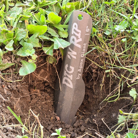 Apex Giant Dig ’n Rip – Produktansicht 9