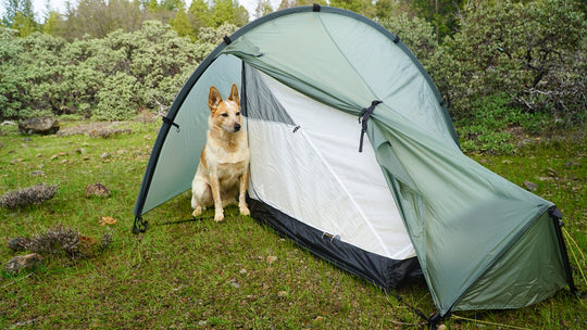 TarpTent Moment DW