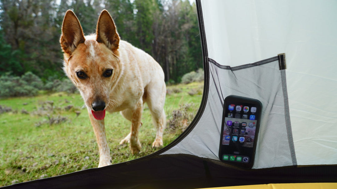 TarpTent Moment DW